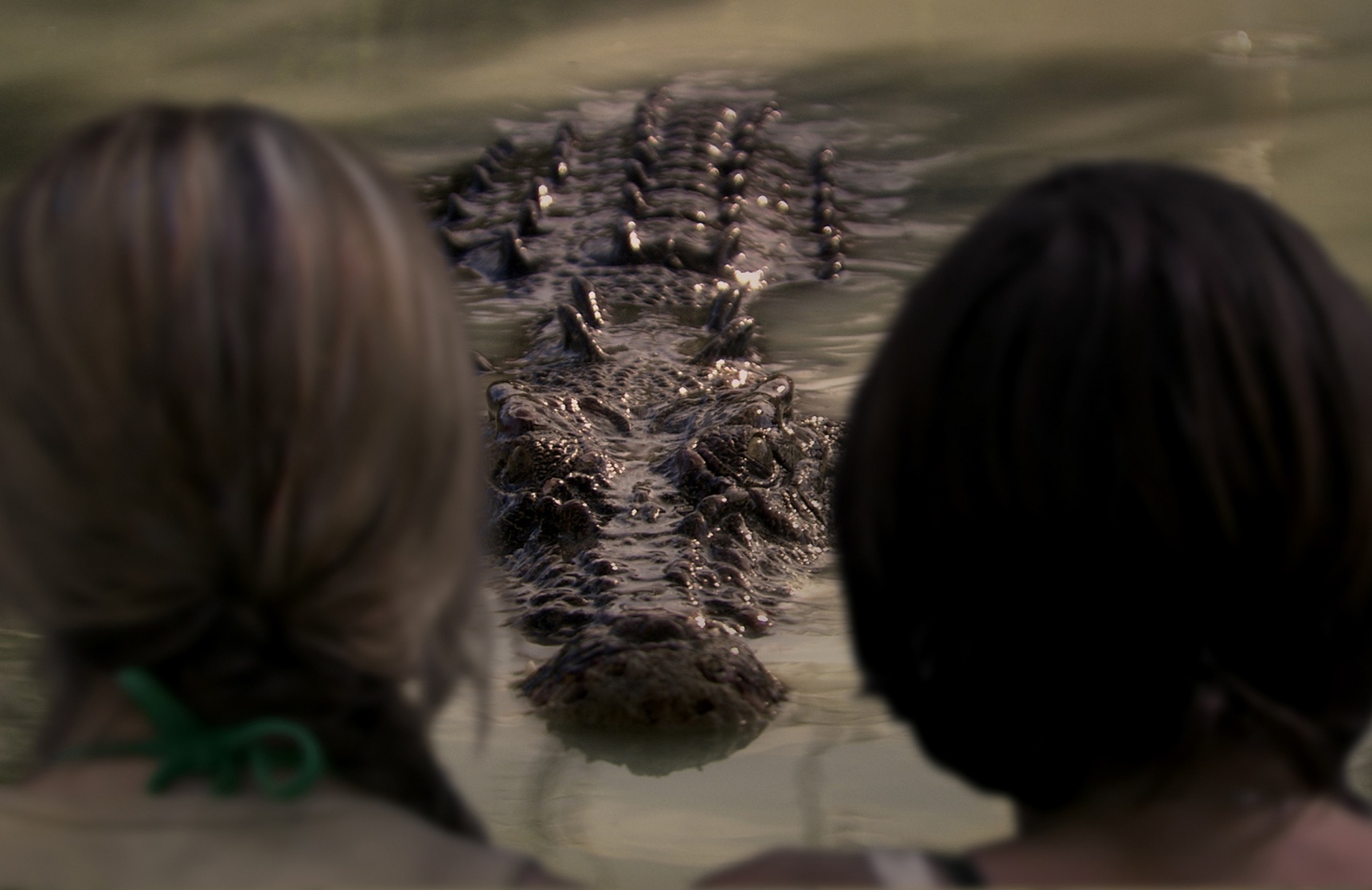 Black Water (2007) Black Water (2007)