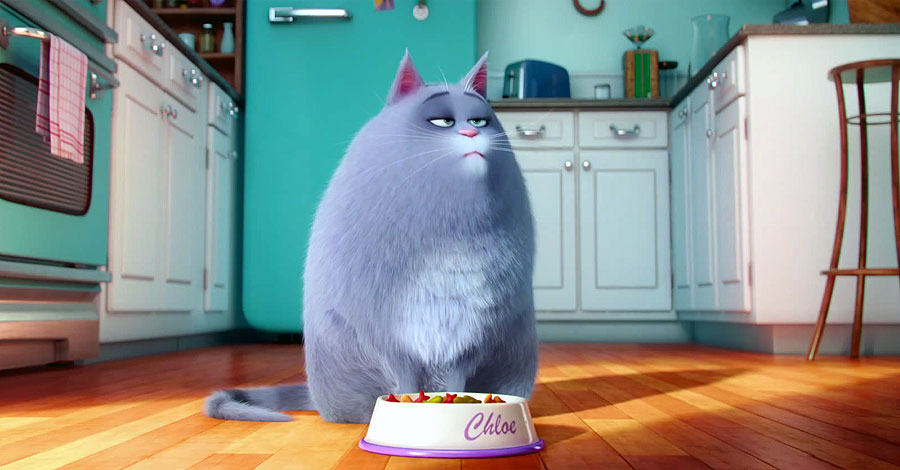 The Secret Life of Pets (2016) The Secret Life of Pets (2016)