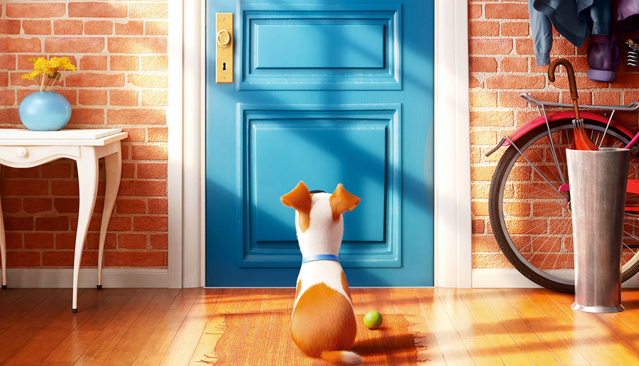 The Secret Life of Pets The Secret Life of Pets
