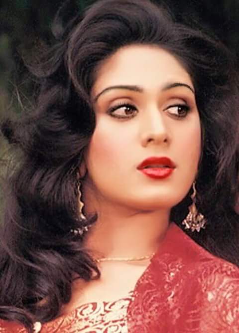 Meenakshi Sheshadri Net Worth