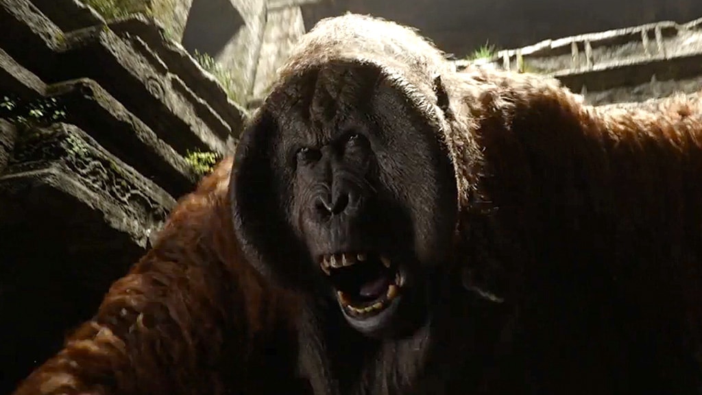 The Jungle Book