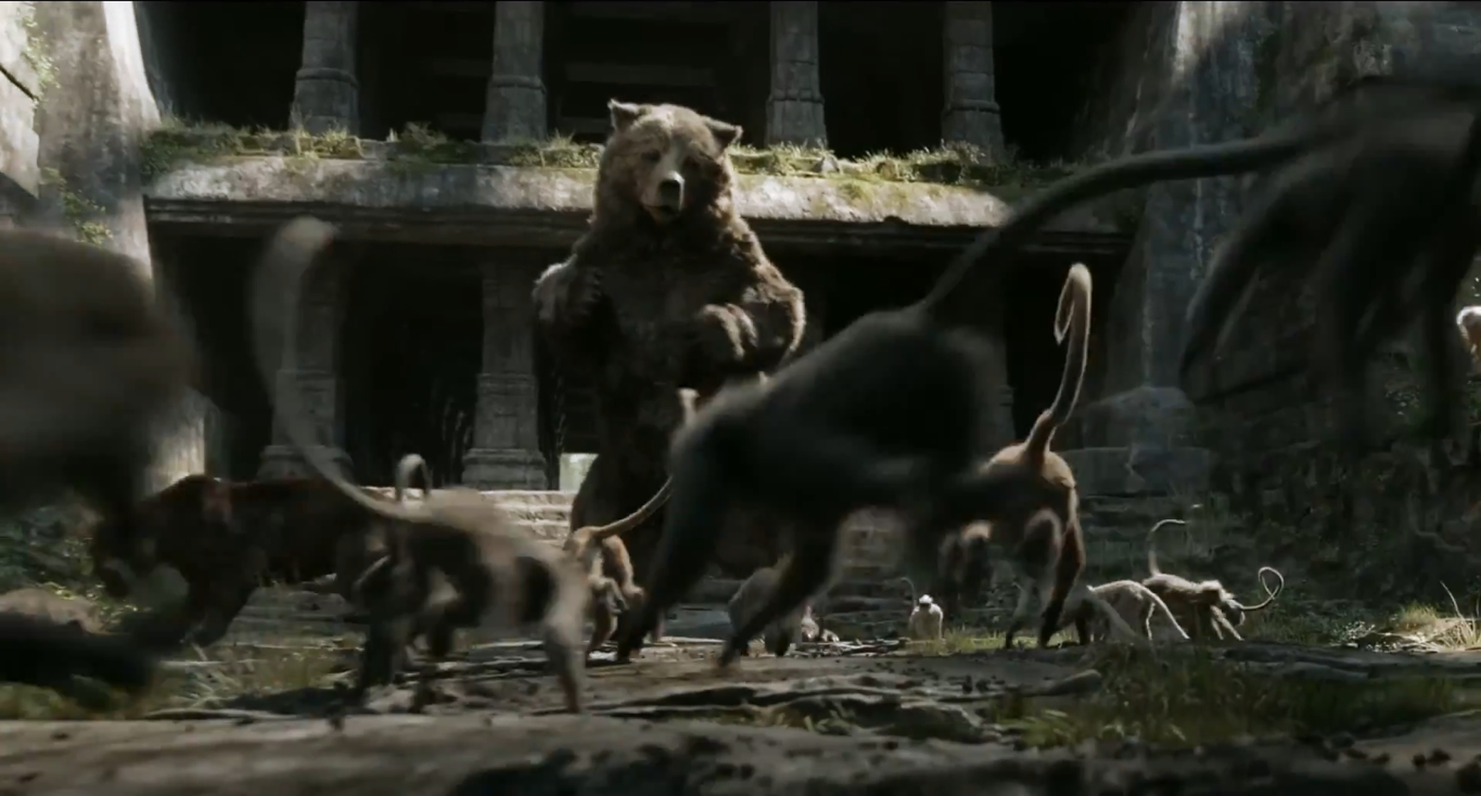 The Jungle Book The Jungle Book