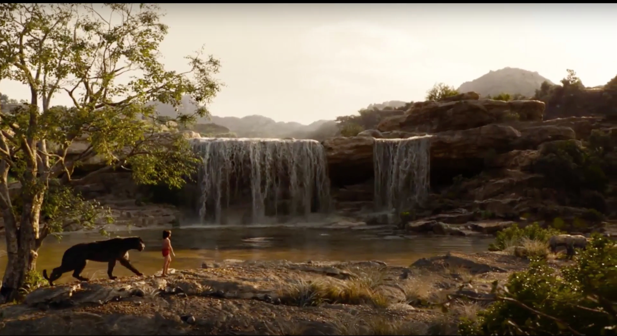 The Jungle Book The Jungle Book