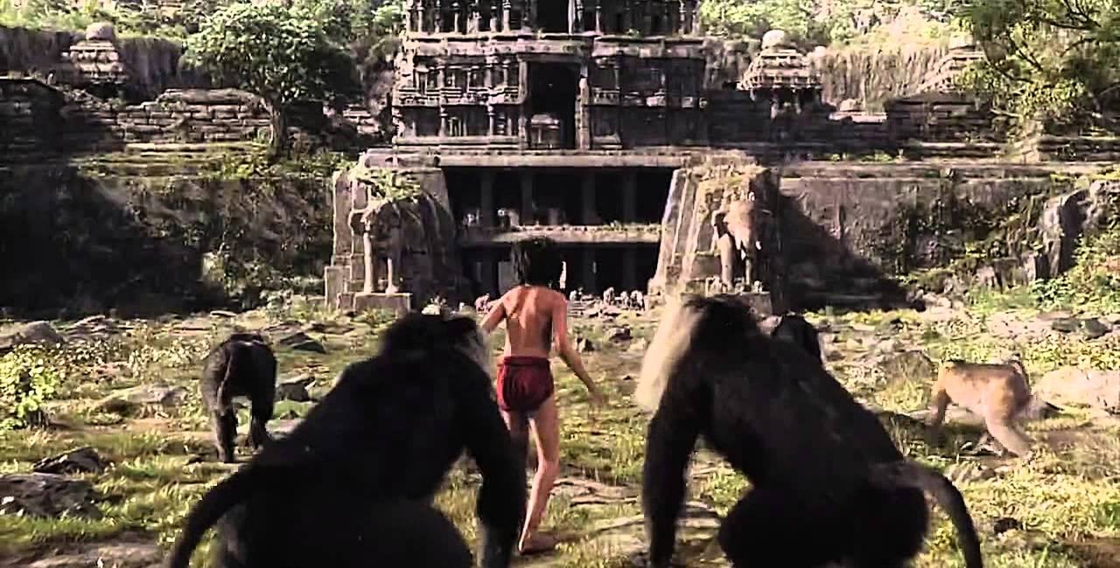 The Jungle Book The Jungle Book