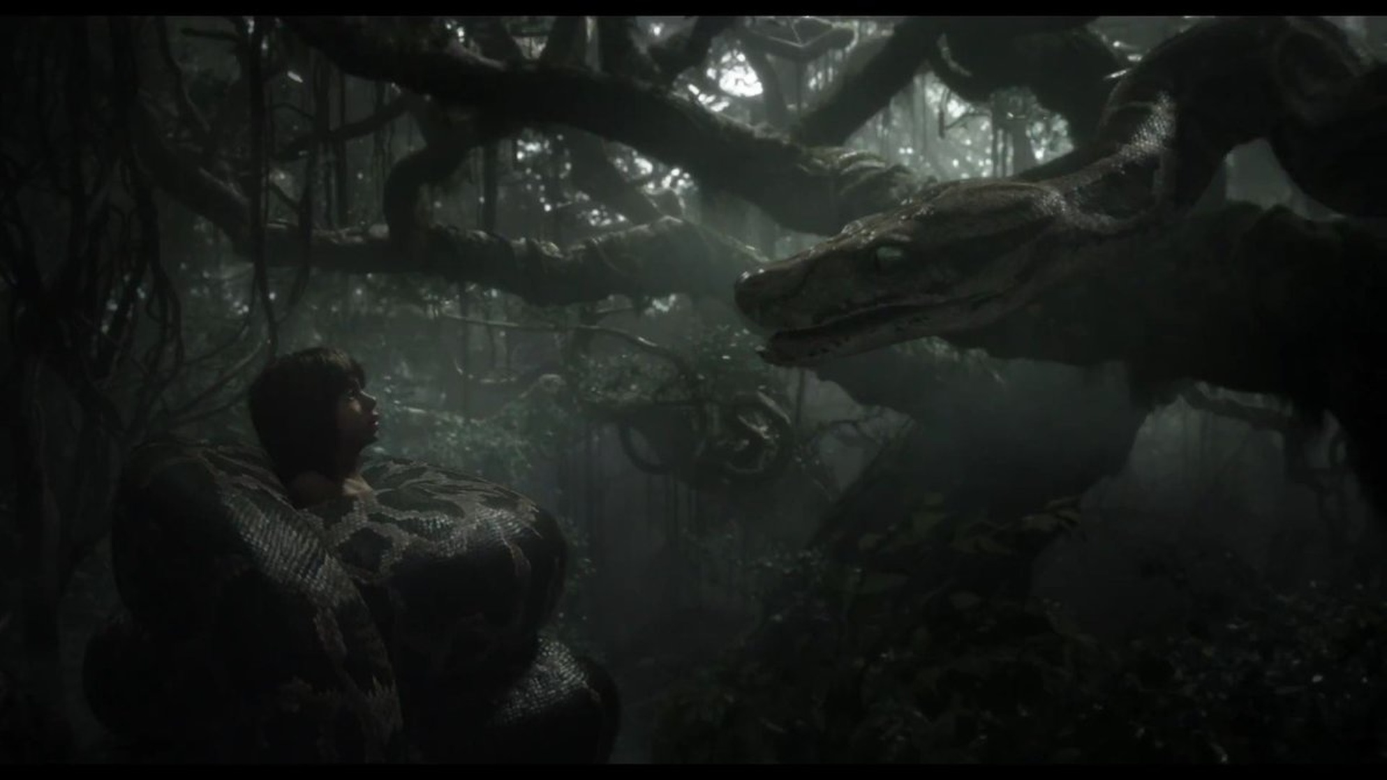 The Jungle Book The Jungle Book