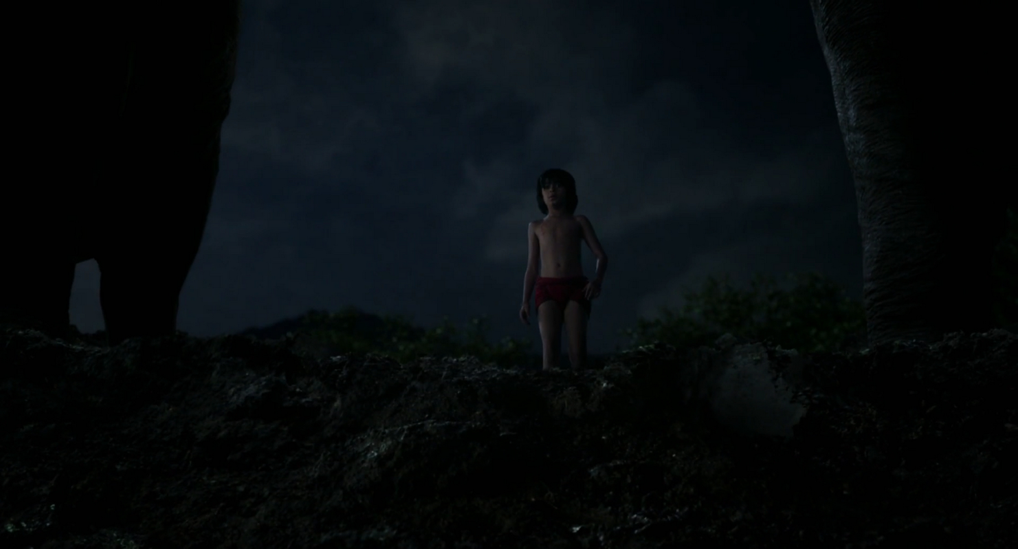 The Jungle Book The Jungle Book