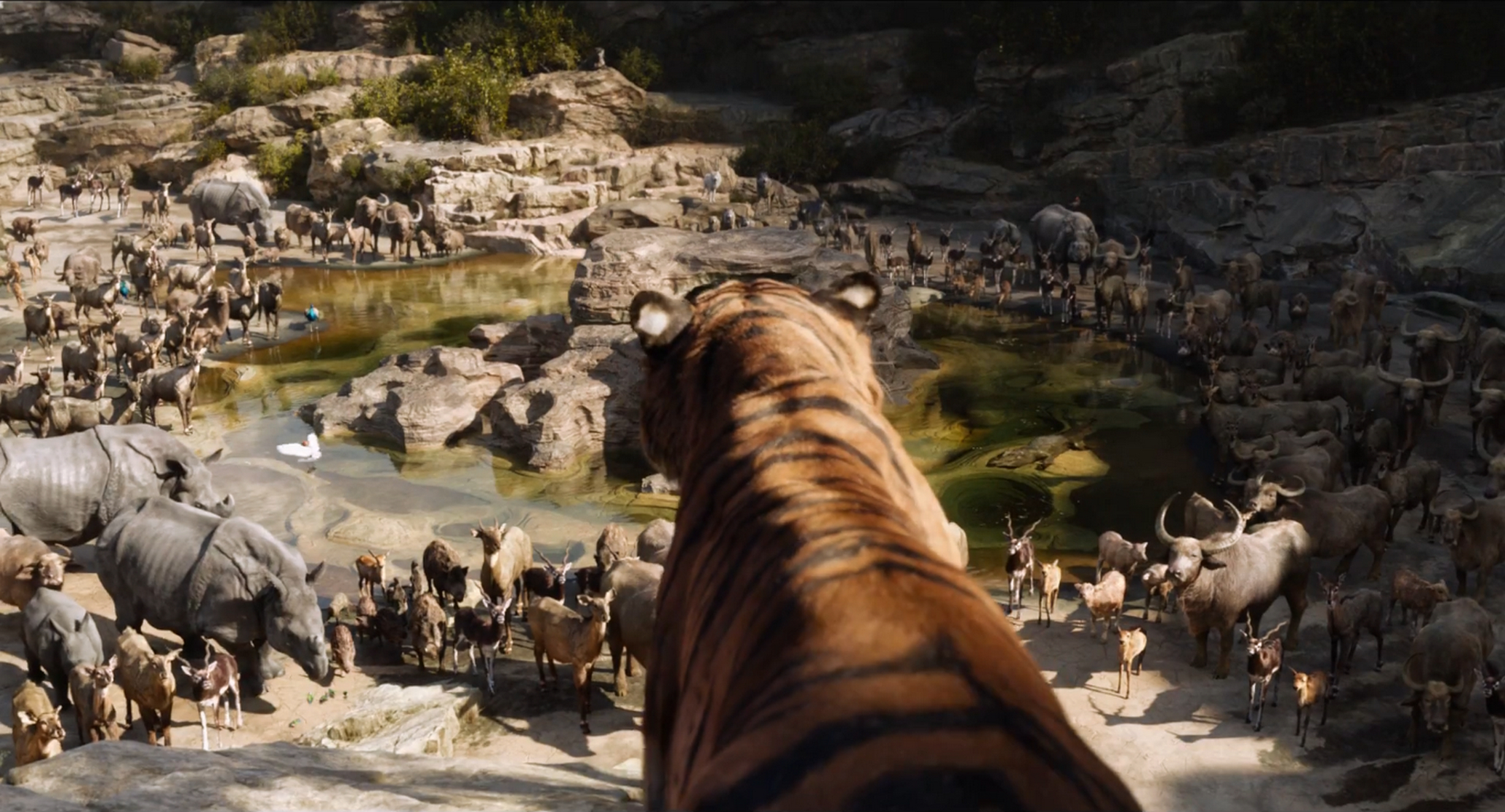 The Jungle Book The Jungle Book
