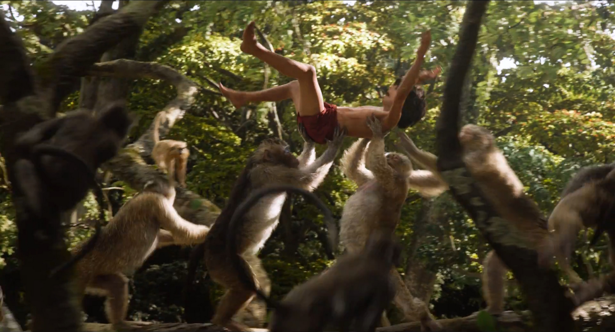 The Jungle Book The Jungle Book