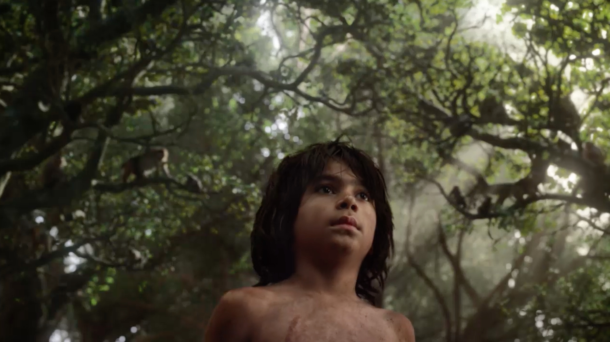 The Jungle Book The Jungle Book
