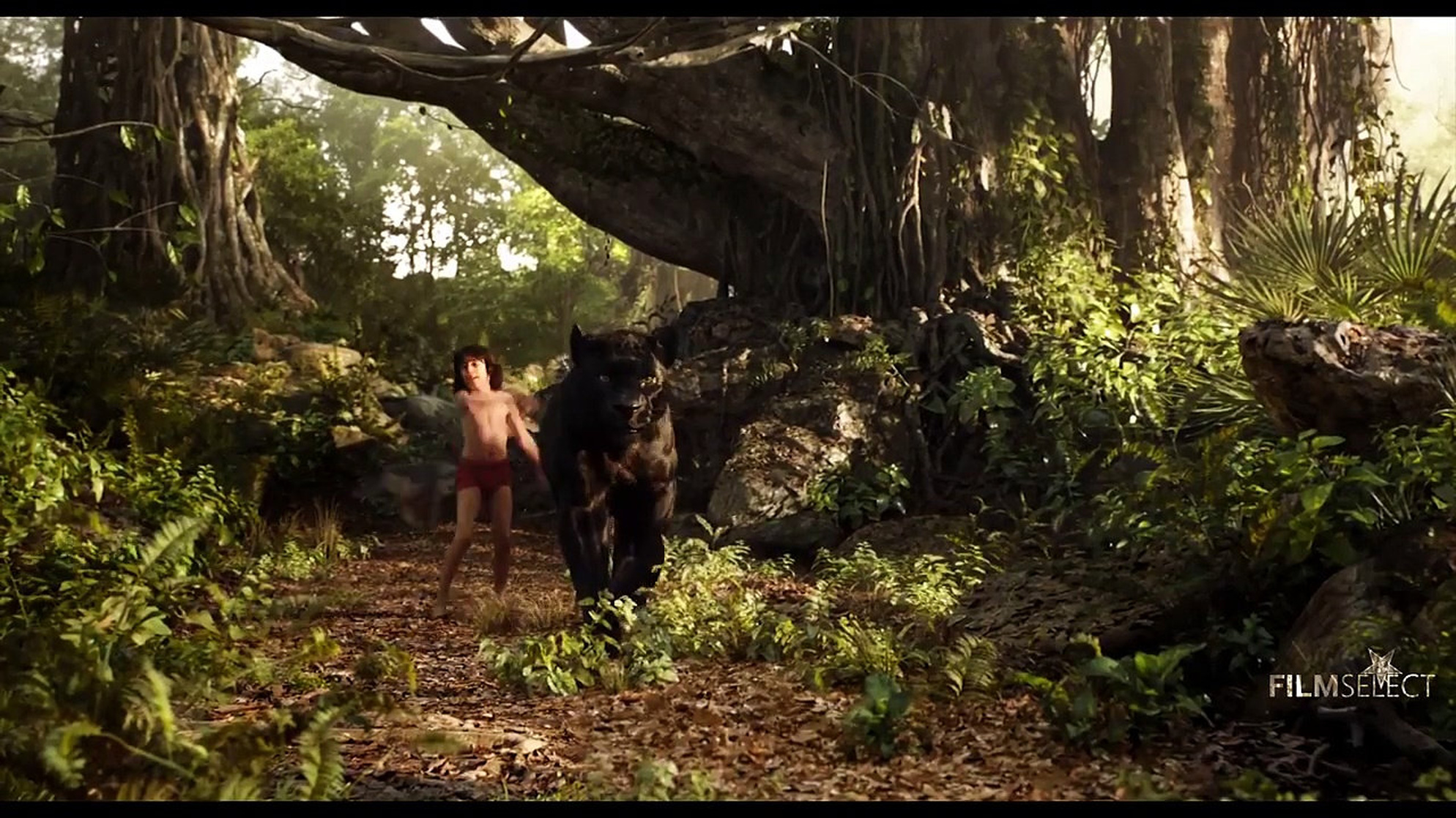 The Jungle Book