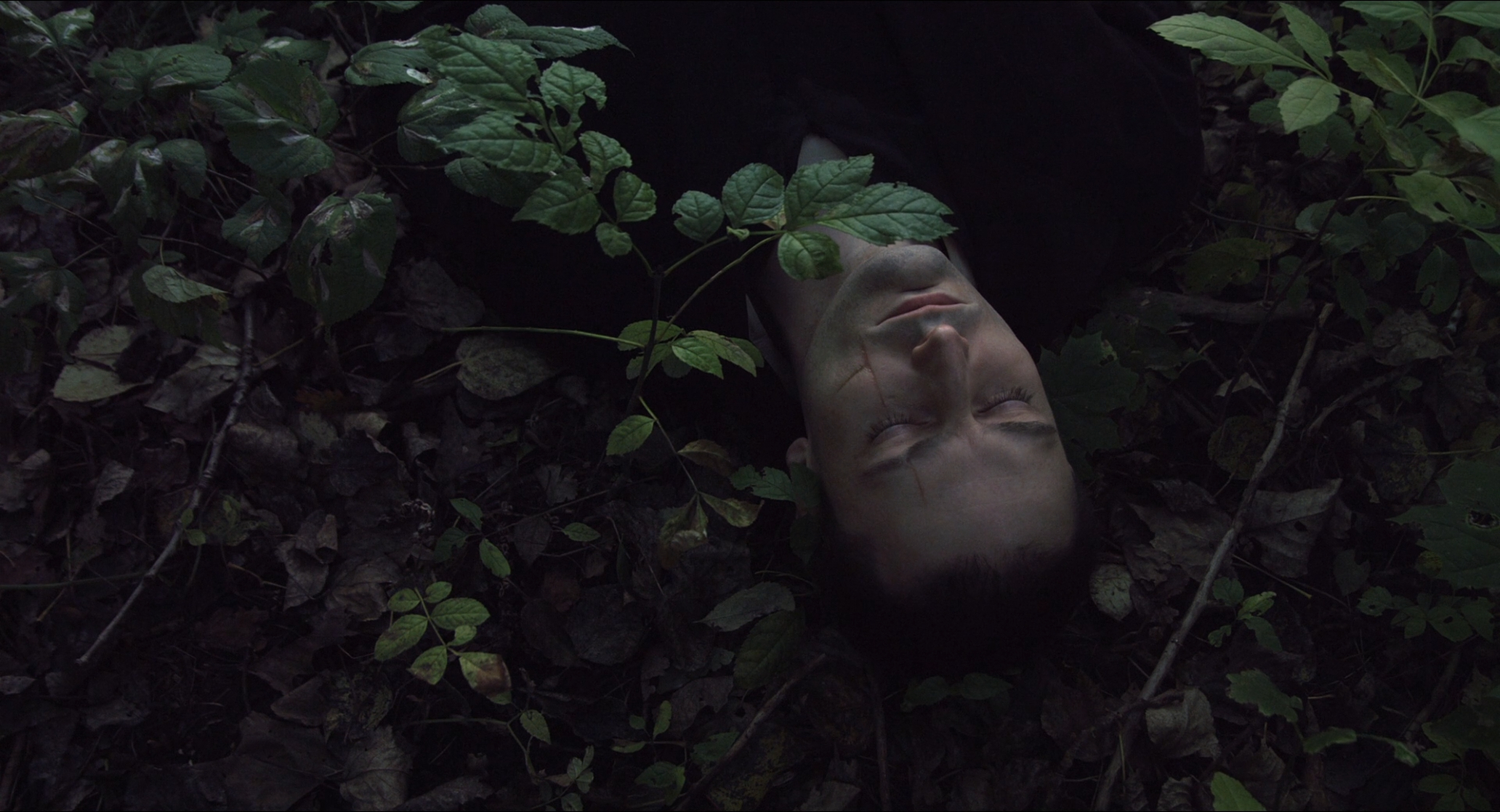 Onirica                                  (2014)