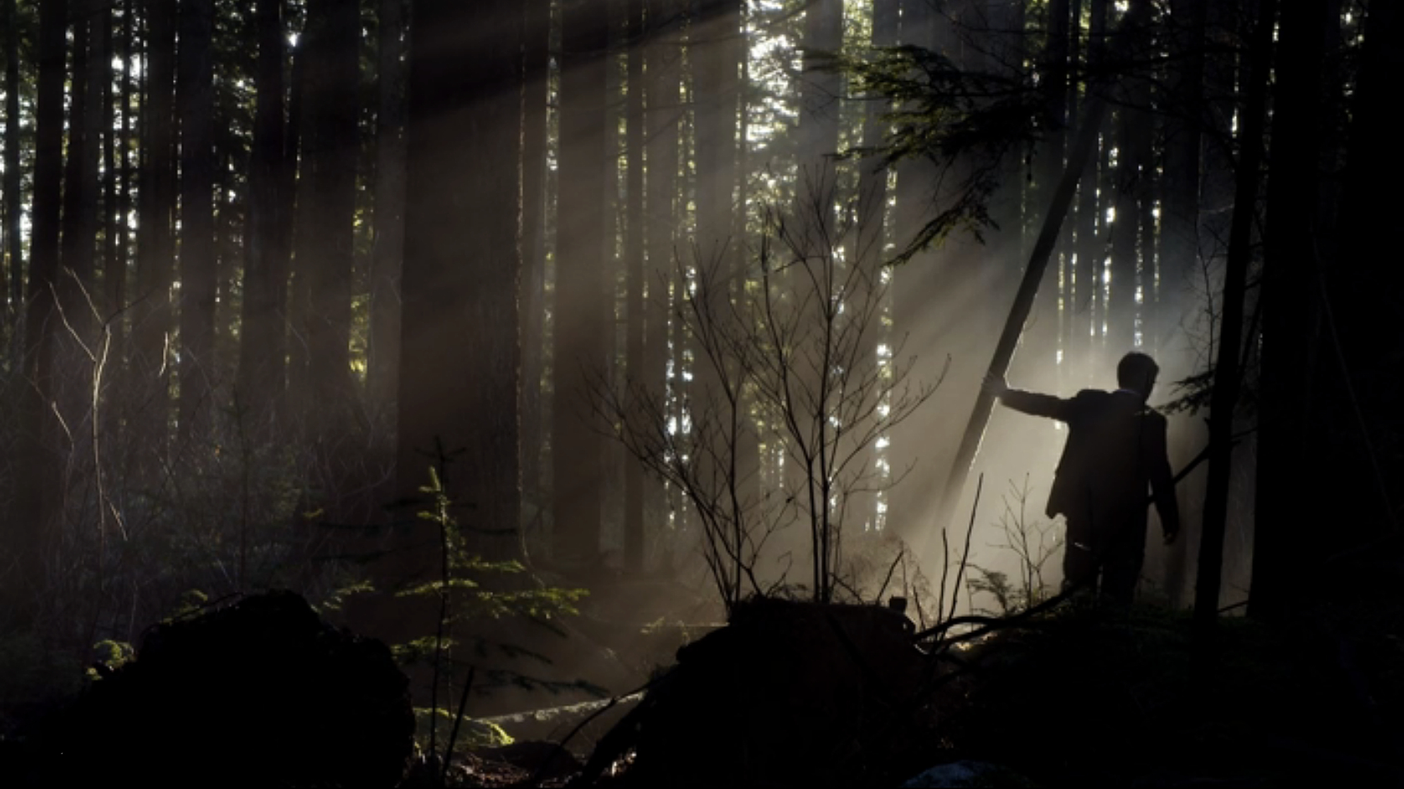 Wayward Pines Wayward Pines