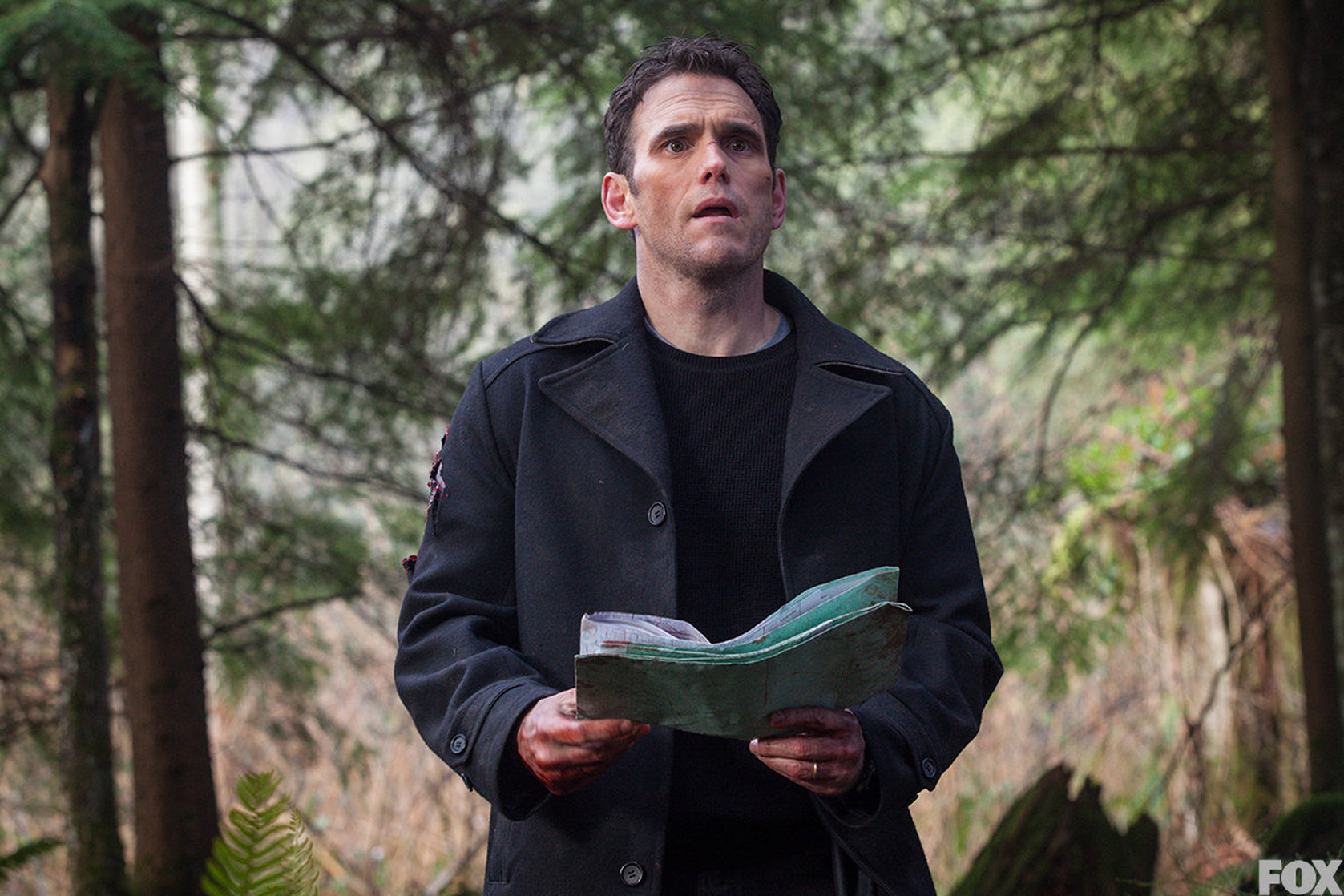 Wayward Pines