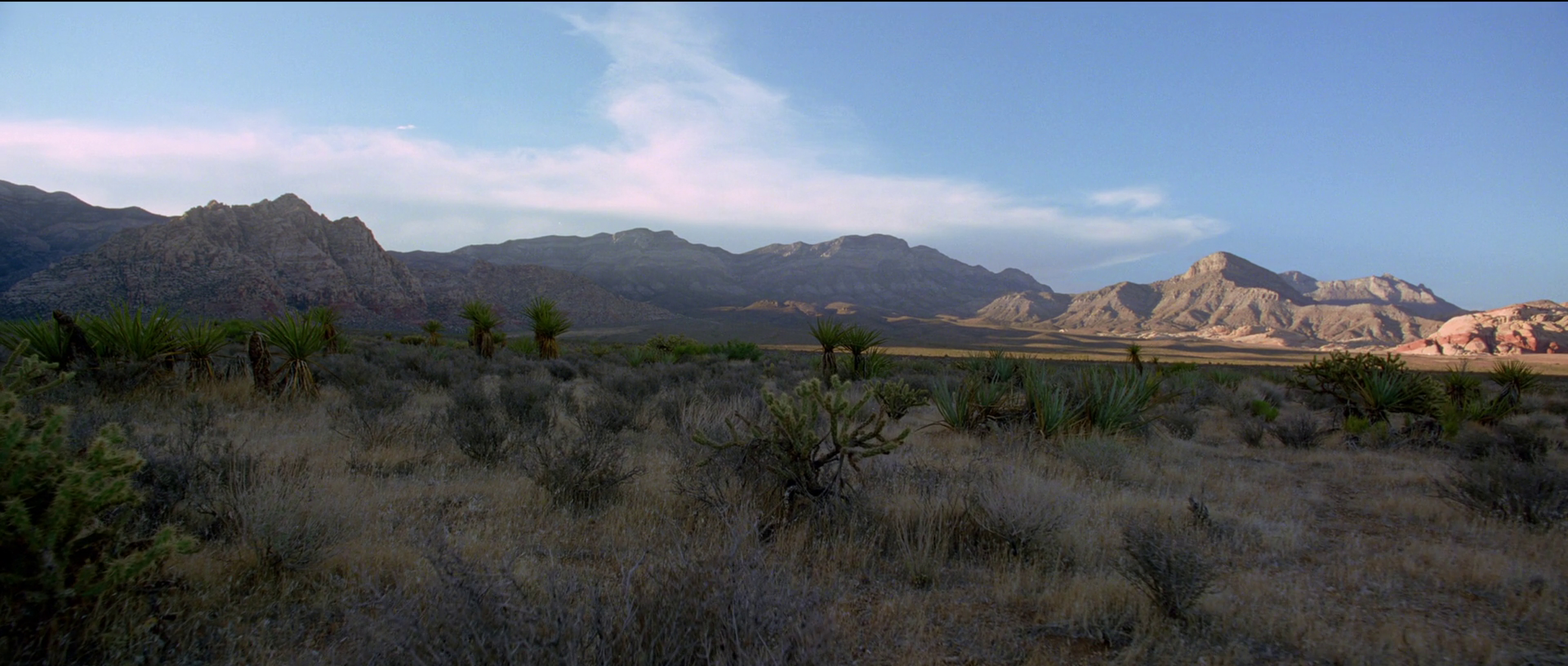 Knight of Cups