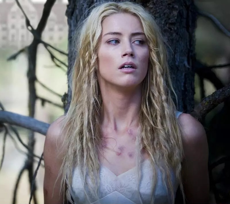 Amber Heard Amber Heard