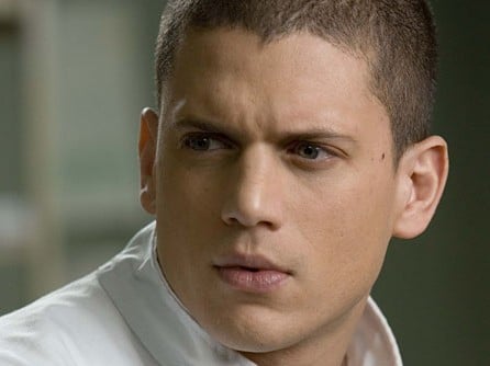 Picture of Wentworth Miller