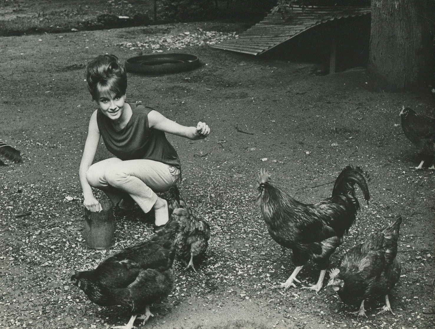 Valérie Lagrange Valérie Lagrange