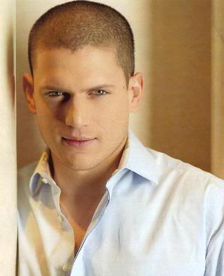Wentworth Miller image