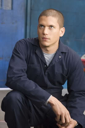 Picture of Wentworth Miller