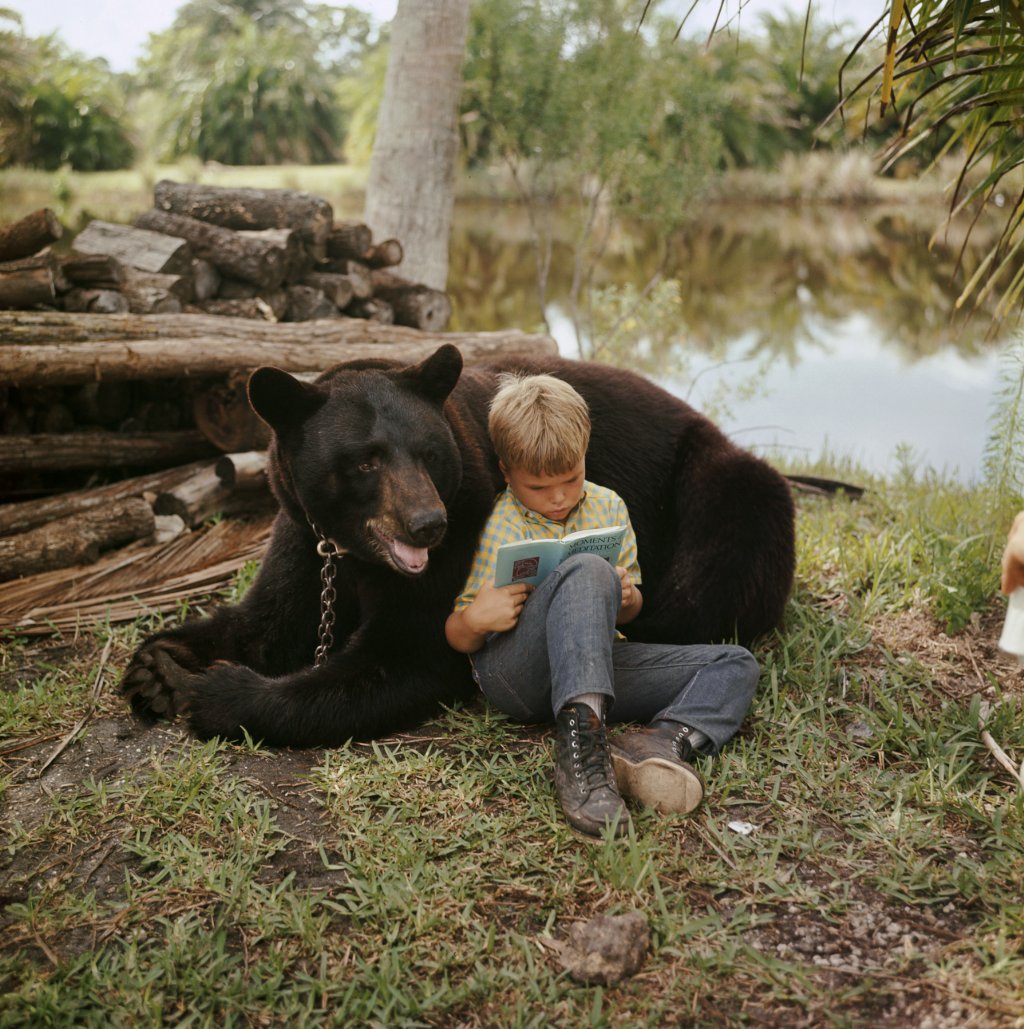 Picture of Gentle Ben