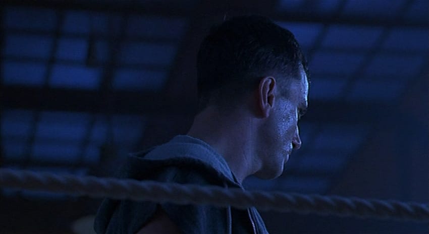 The Boxer The Boxer
