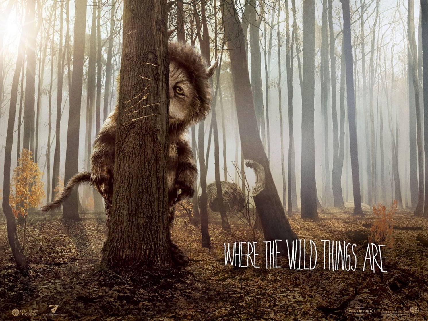 Where the Wild Things Are