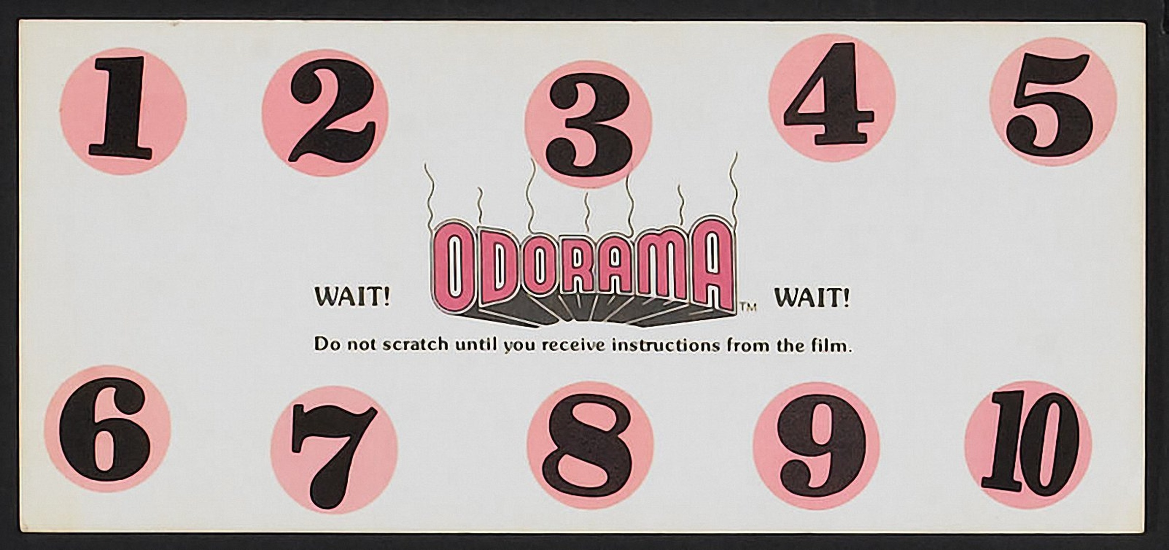 Polyester (1981) Polyester (1981)
