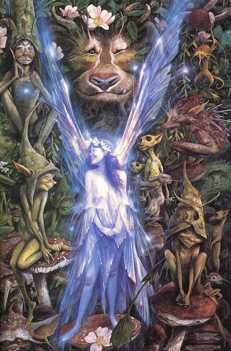 Picture of Brian Froud