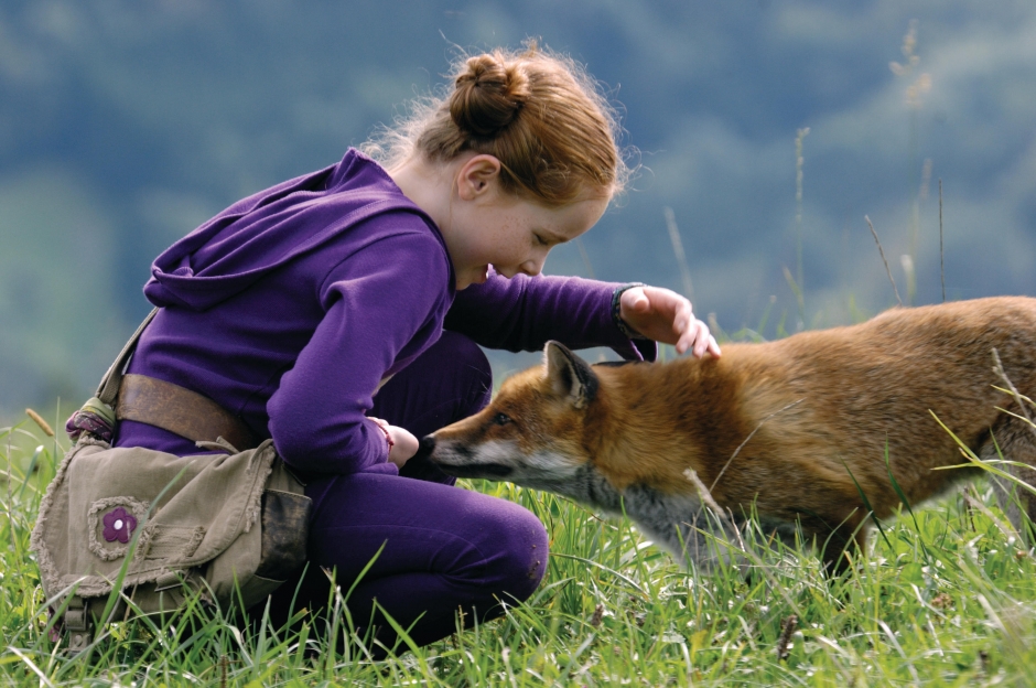 The Fox and the Child The Fox and the Child