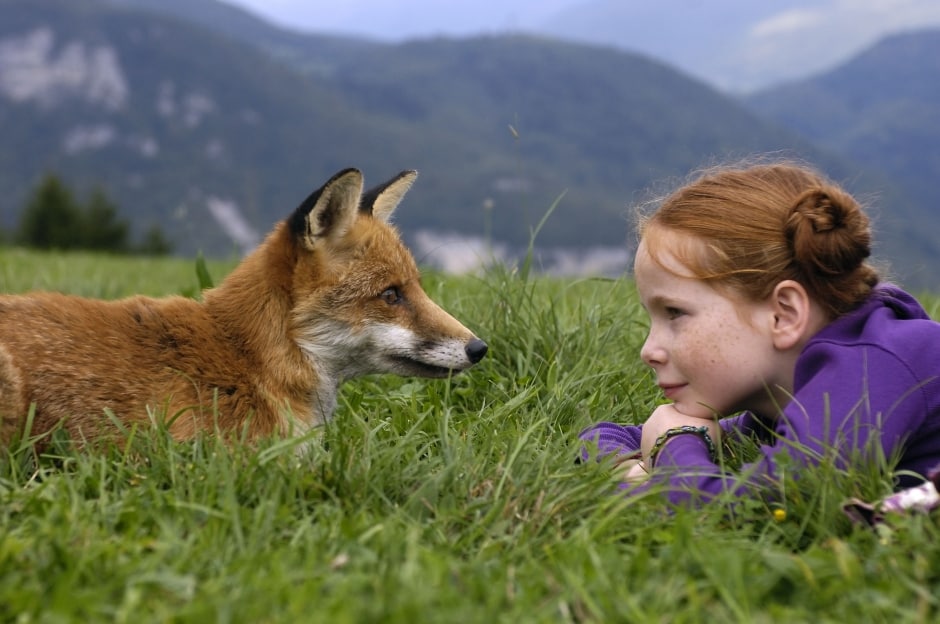The Fox and the Child The Fox and the Child