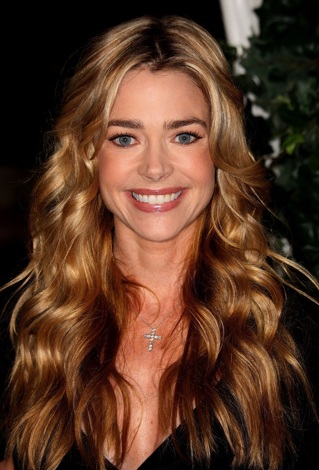 Denise Richards image