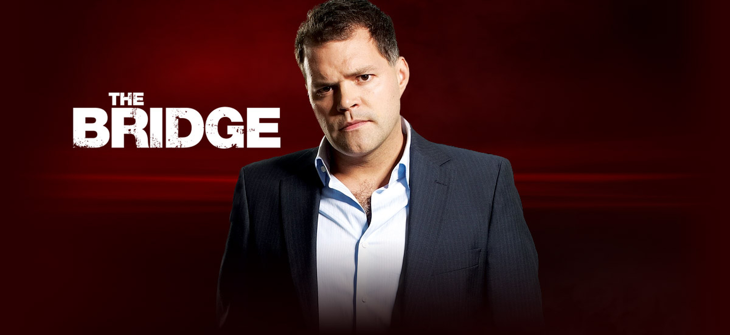 The Bridge                                  (2010- )