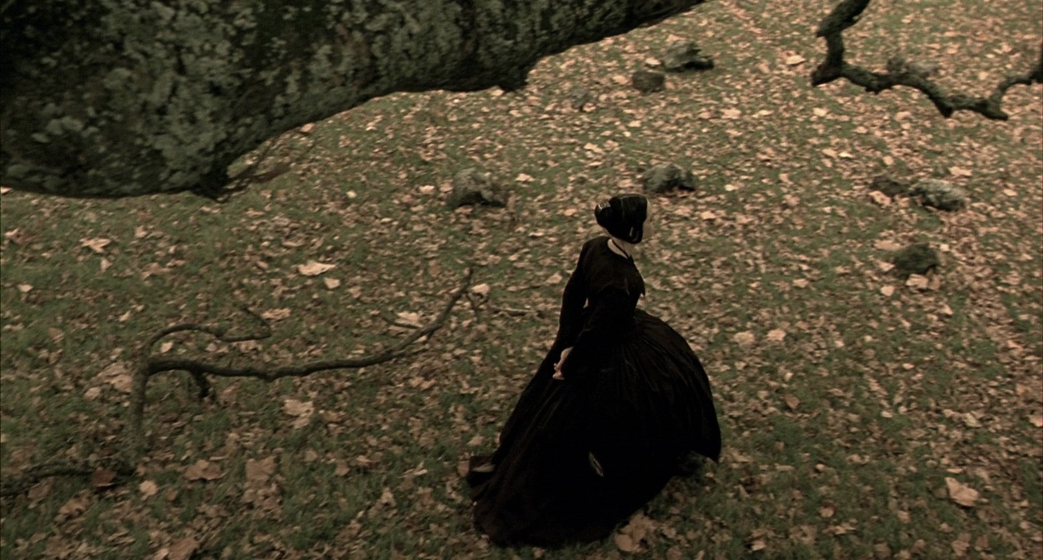 The Piano (1993) The Piano (1993)