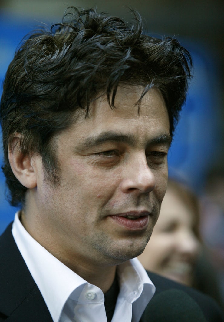 Benicio Del Toro ethnicity