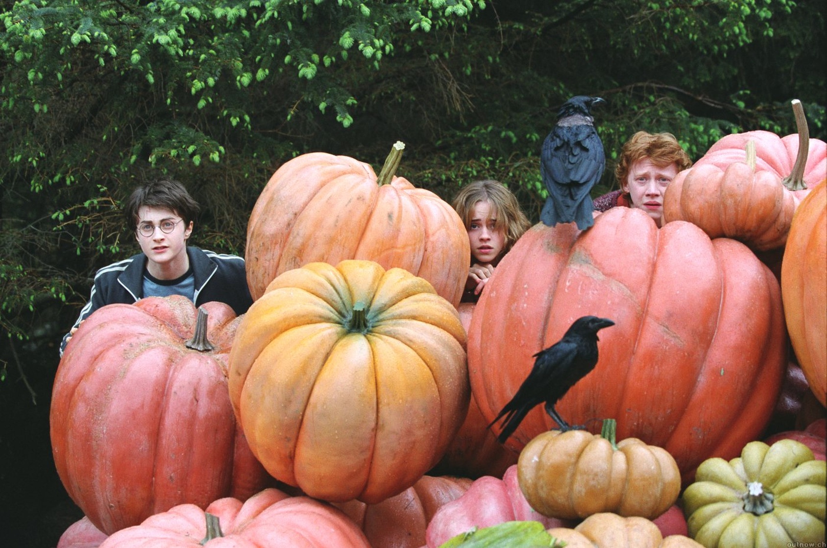 Harry Potter and the Prisoner of Azkaban