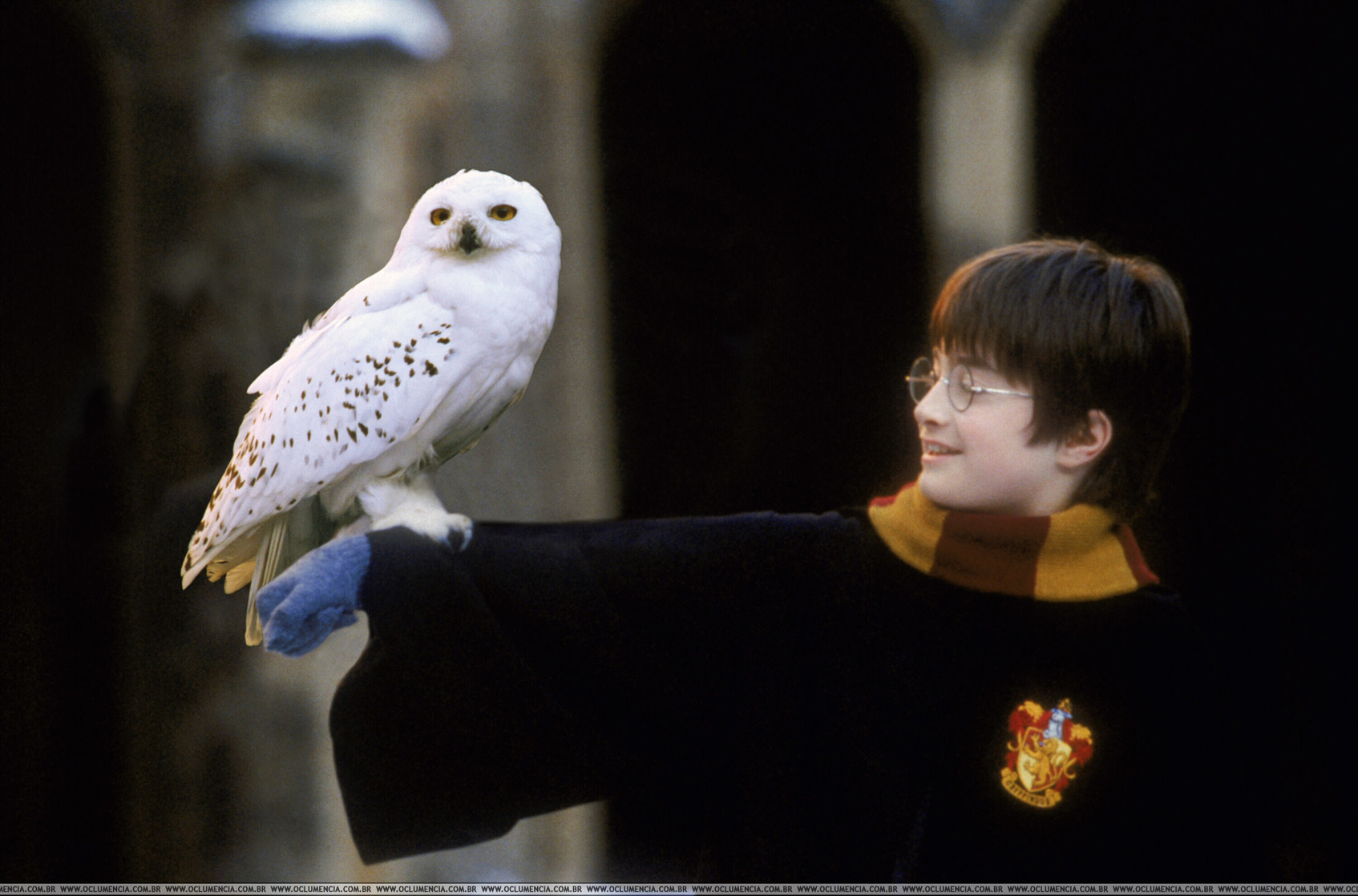 Harry Potter and the Philosopher's Stone
