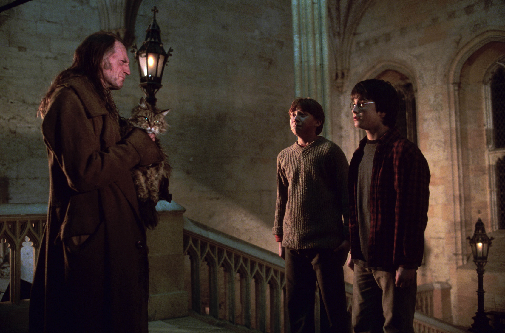 Harry Potter and the Chamber of Secrets
