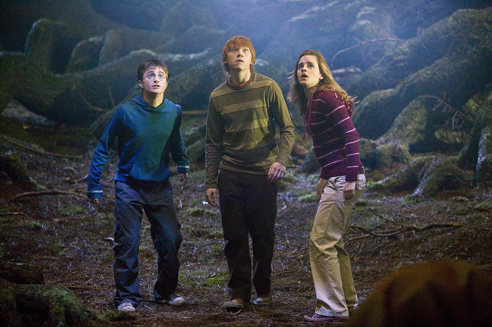 Harry Potter and the Order of the Phoenix