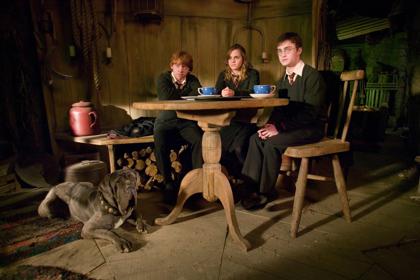 Harry Potter and the Order of the Phoenix