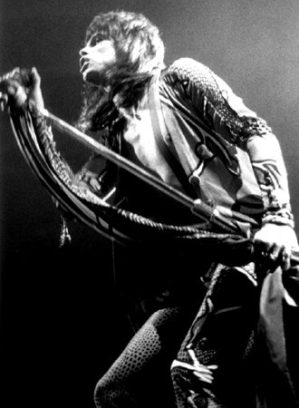 Picture of Steven Tyler