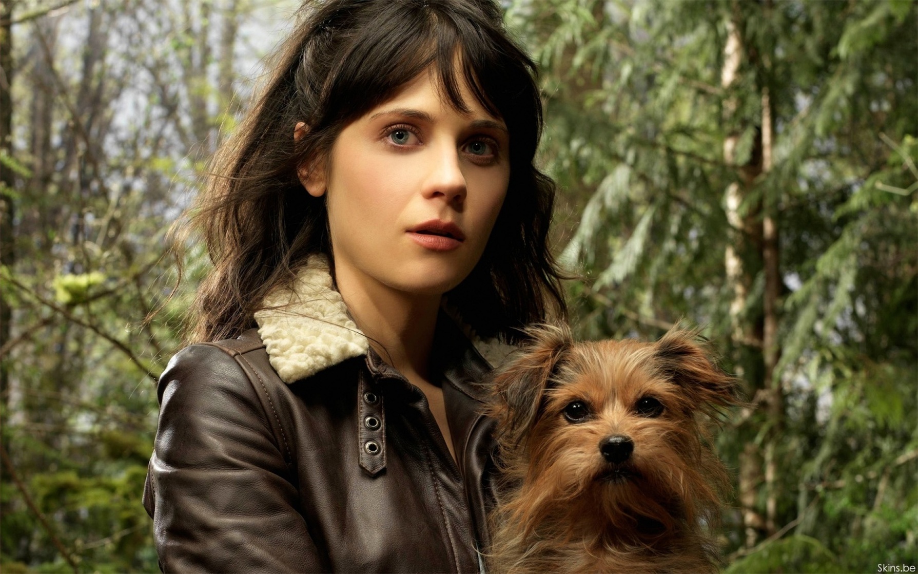 Zooey Deschanel Zooey Deschanel