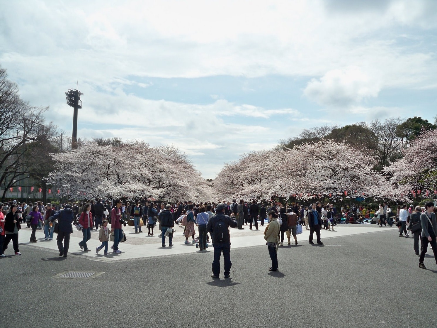 Ueno Park, Tokyo April 2010