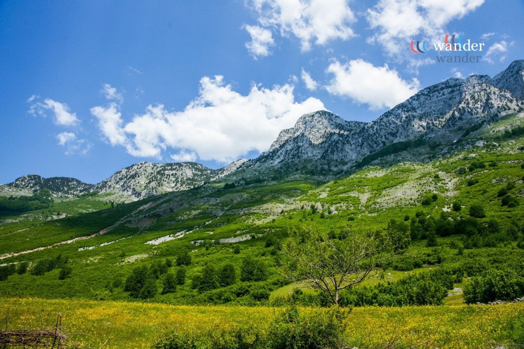 Albania