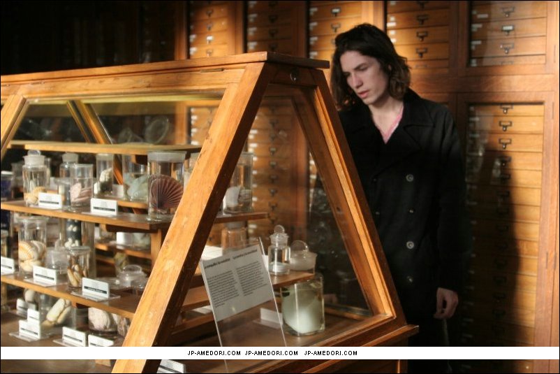 John Patrick Amedori
