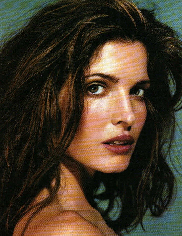 Picture of Stephanie Seymour