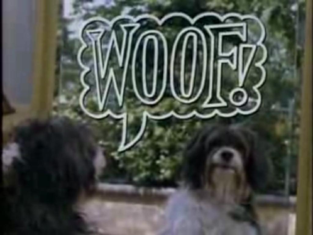 Woof!