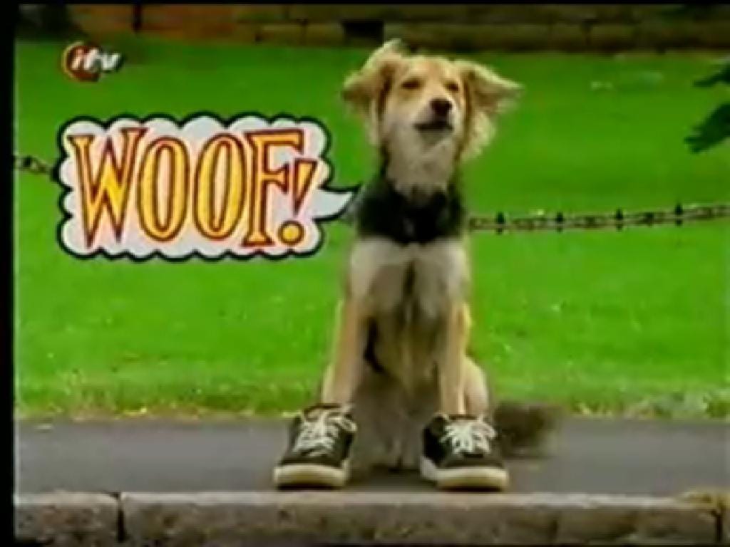 Woof!