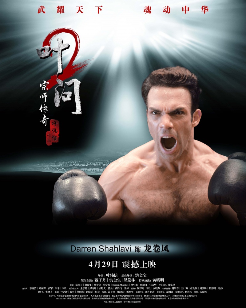 Ip Man 2 Legend of the Grandmaster picture
