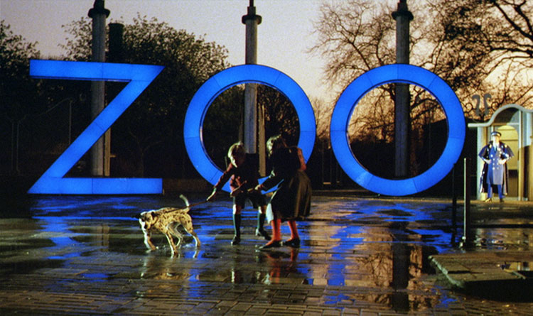 A Zed & Two Noughts (1985) A Zed & Two Noughts (1985)