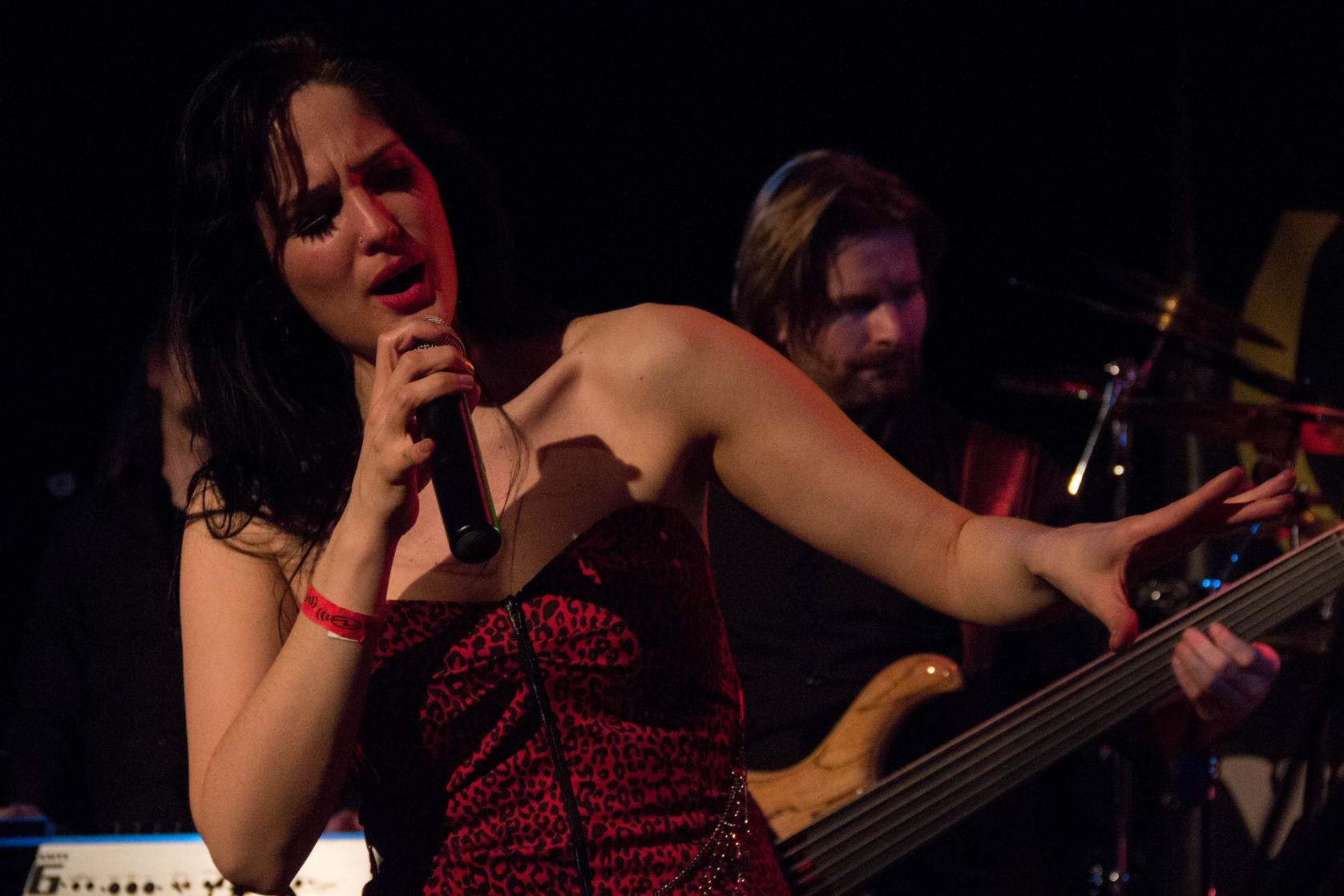 Dianne van Giersbergen